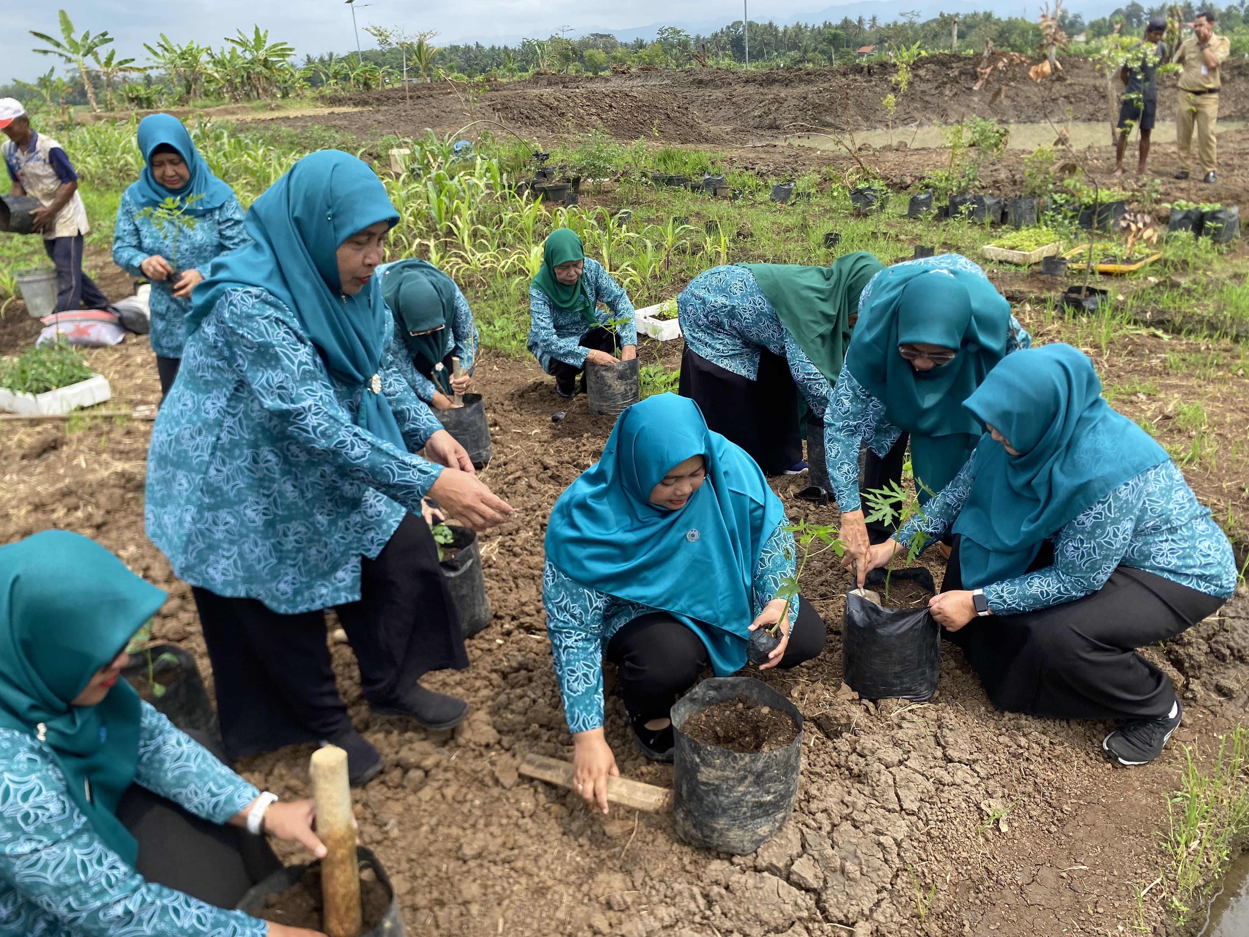 TIM PENGGERAK PKK KECAMATAN PURWOREJO GELAR PEMBINAAN DI KELURAHAN SINDURJAN DAN DESA SUDIMORO